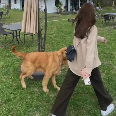 茶之味 在线观看